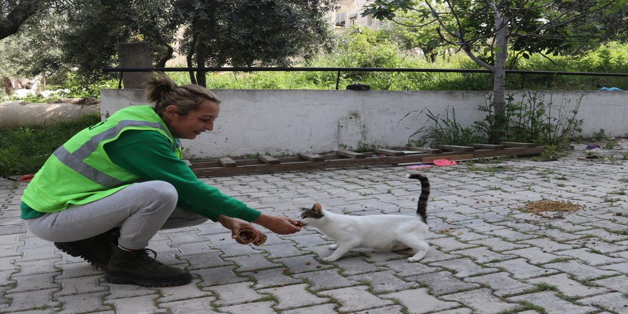 Gönüllü hayvanseverler enkazdan can dostları kurtarıyor.