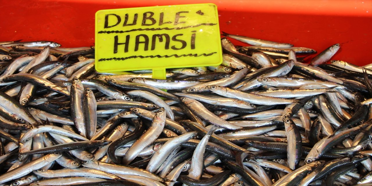 Güney Marmara'da tezgahlar Palamuda doydu.