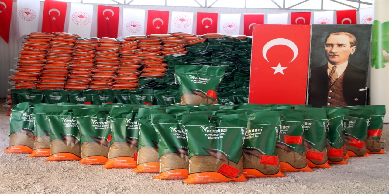 Amasya'da çiftçilere 55 ton yonca tohumu dağıtıldı.