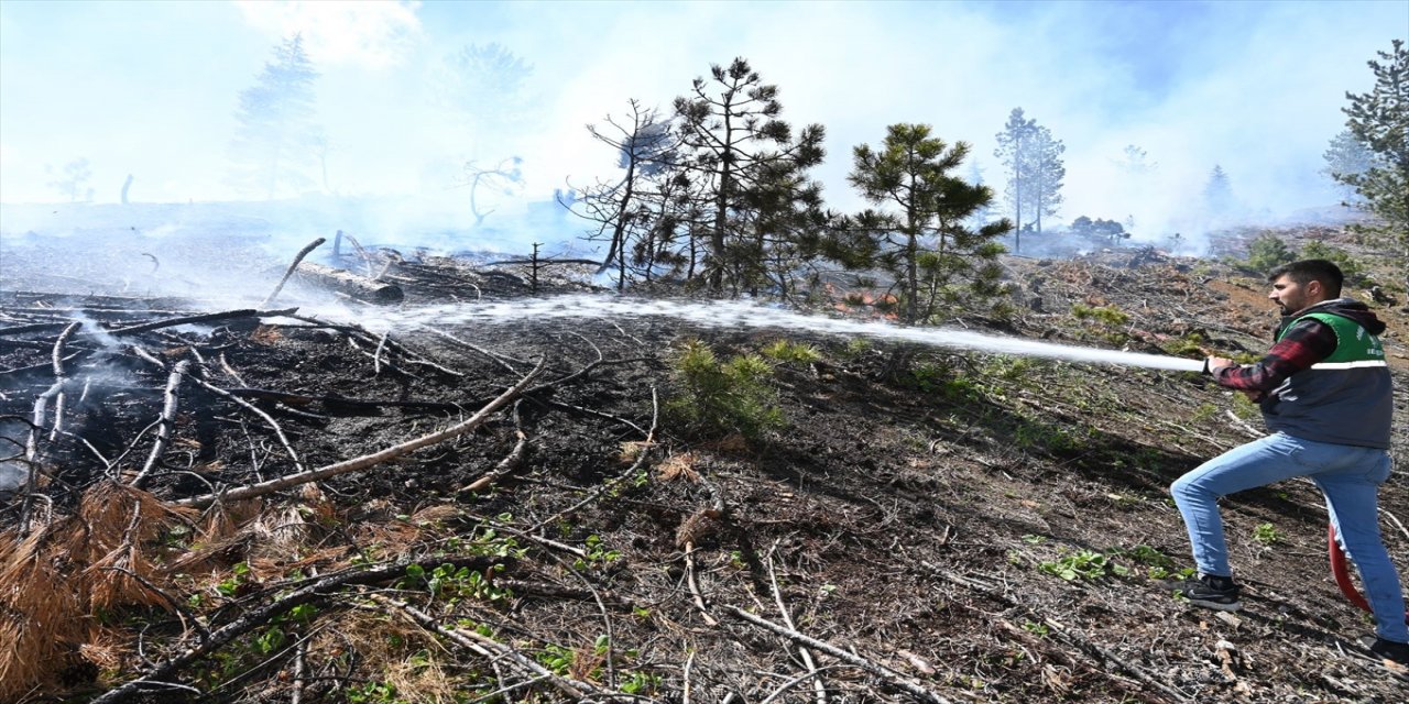 Konya'da ormanlık alanda çıkan yangına müdahale edildi.