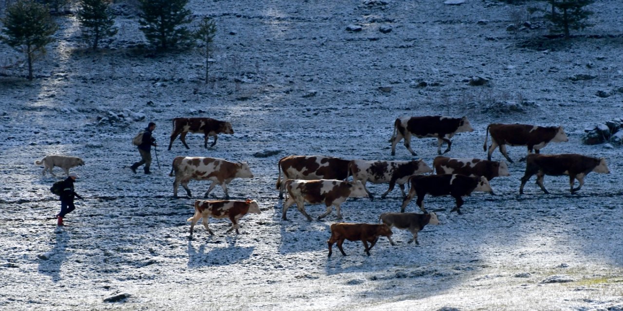 Kars'ın Sarıkamış ilçesine mayıs ayının ilk gününde kar yağdı.