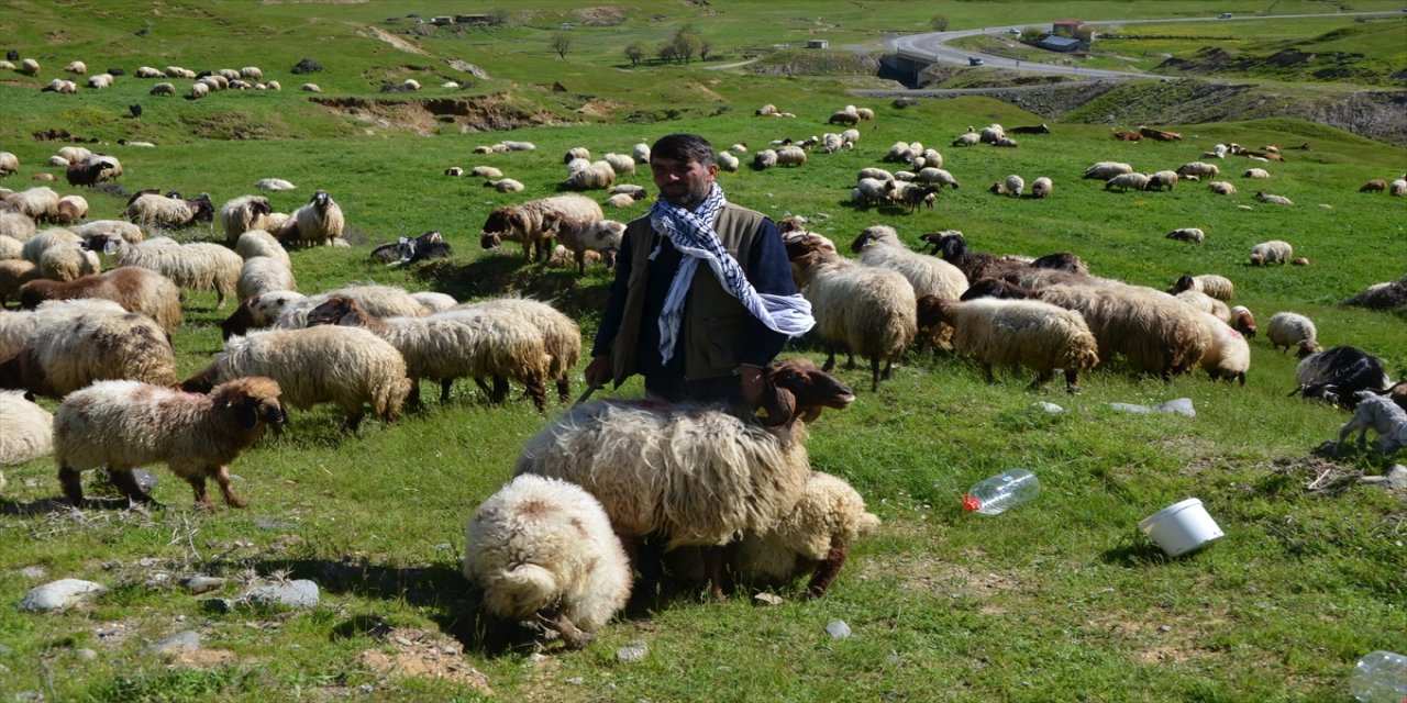 Muşlu besicilerin dönüş yolculuğu başladı.