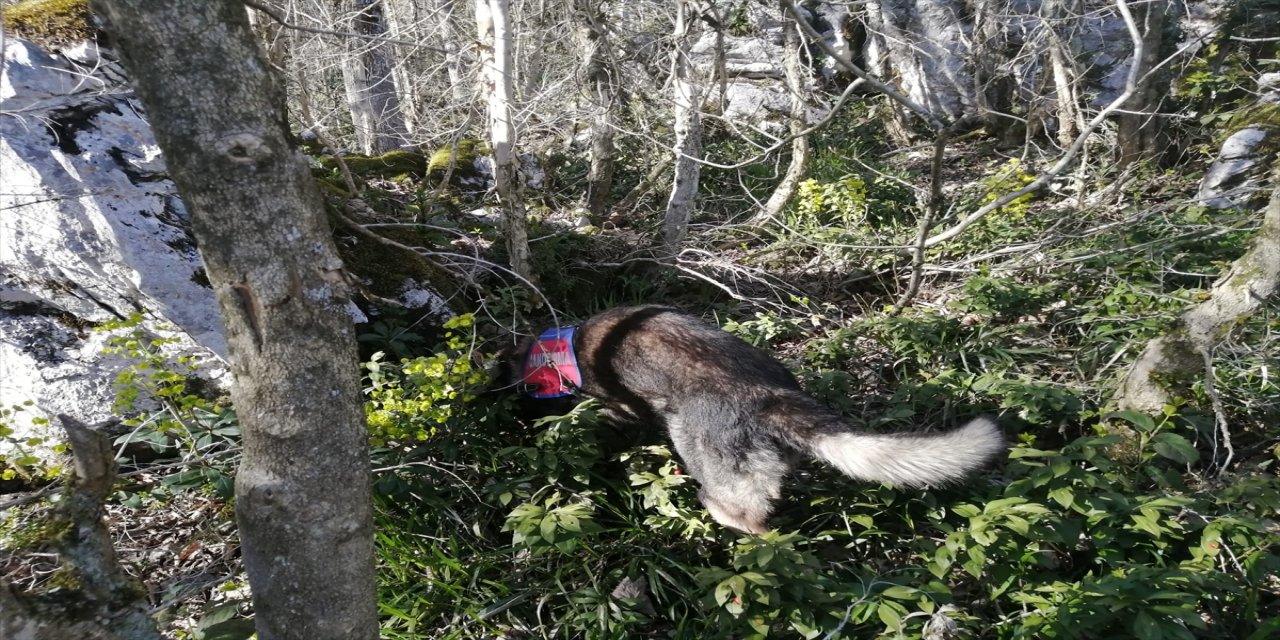 Kastamonu'da kaybolan kişiyi arama çalışması 8 gündür devam ediyor.