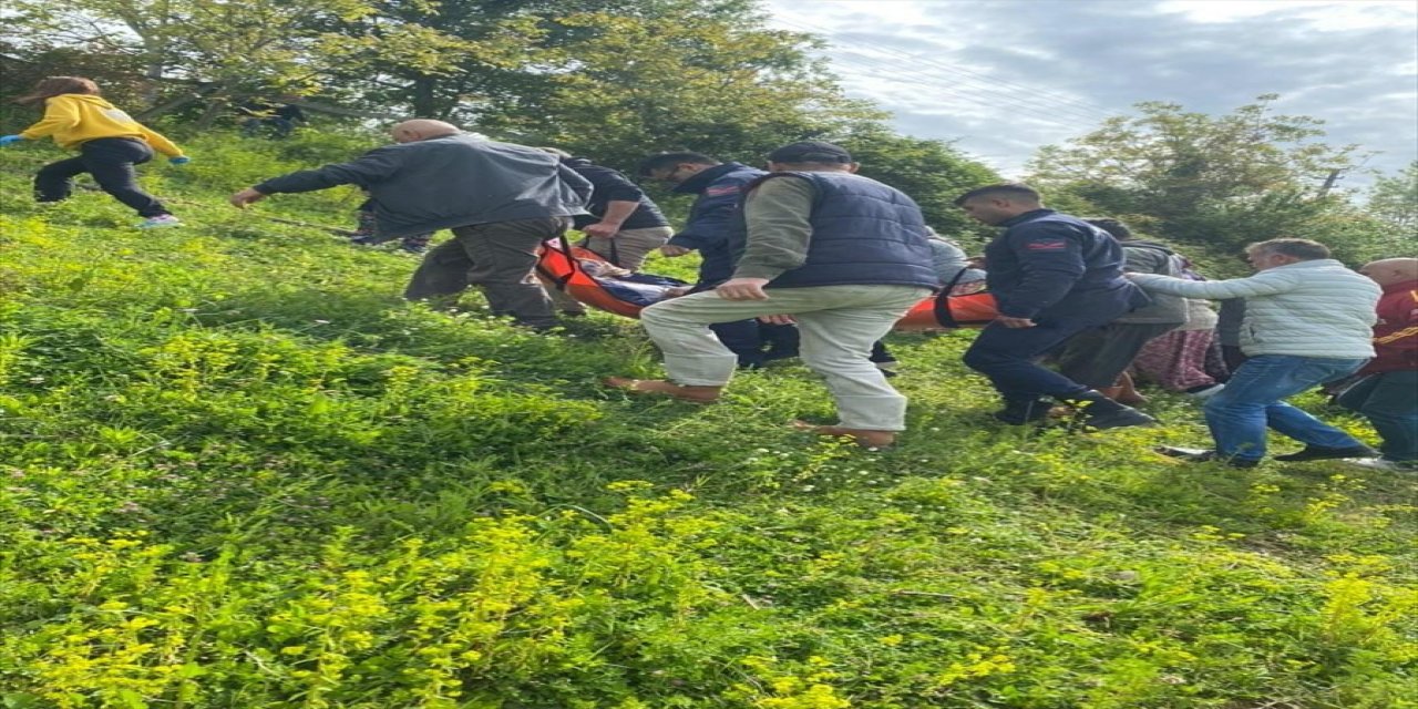 Kocaeli'de devrilen traktörün altında kalan kişi öldü