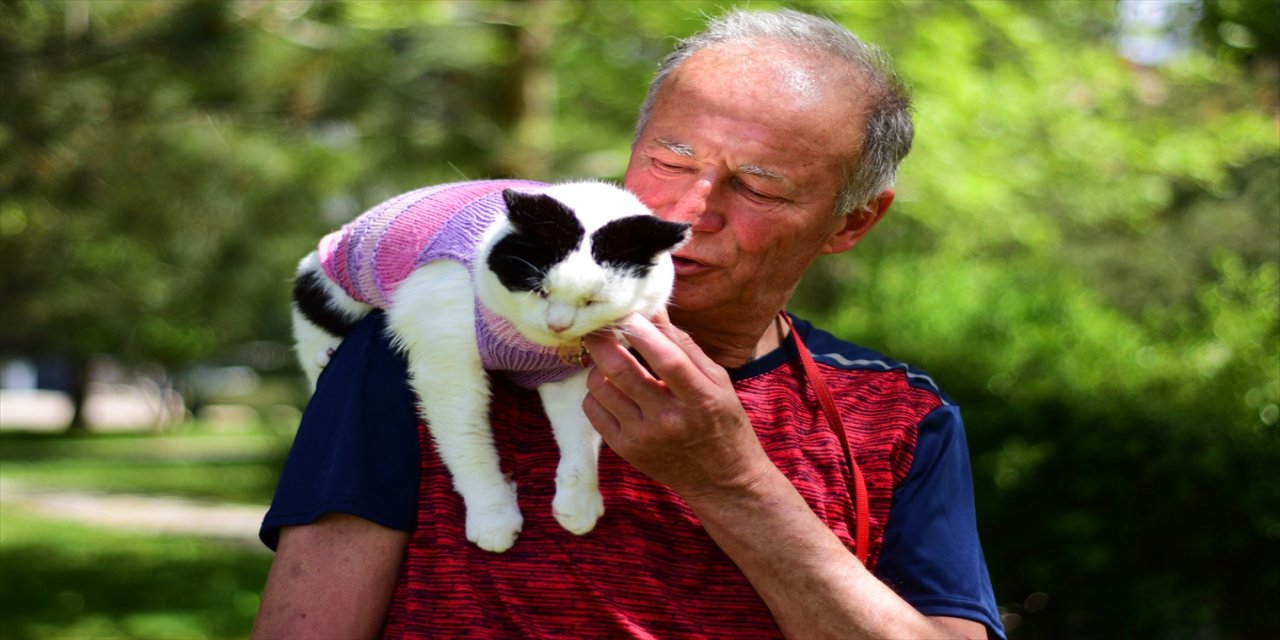 Kedisi Slyvia'yı nereye giderse gitsin omzundan indirmiyor.
