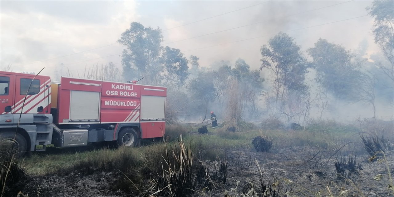 Osmaniye'de ağaçlık alanda çıkan yangın söndürüldü
