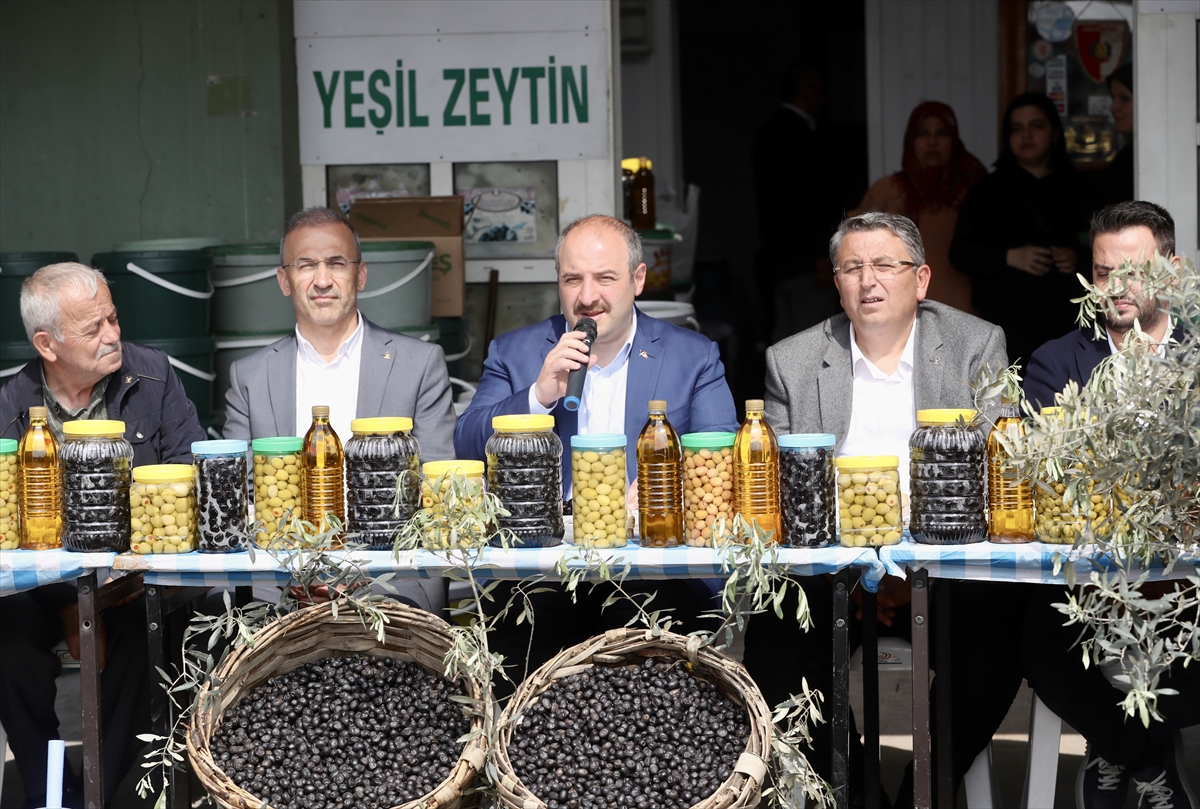 Gemlik zeytinine Avrupa Birliği tescili geliyor