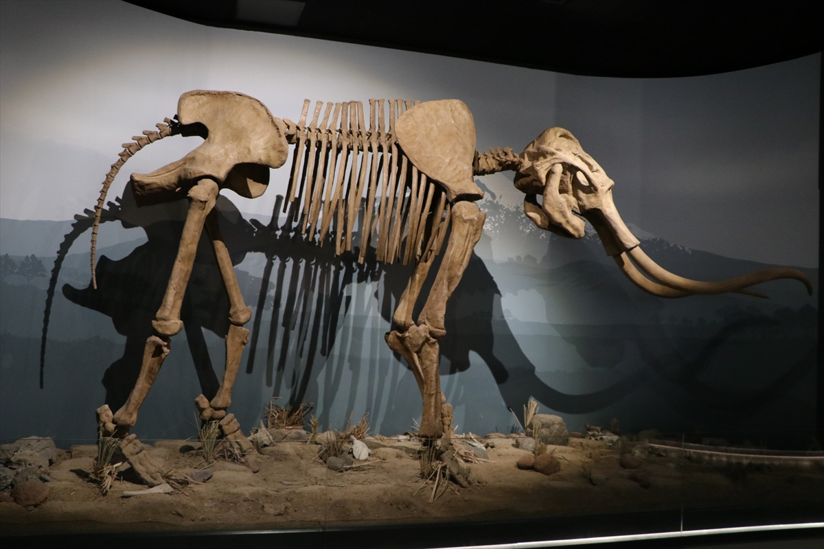 Erzurum Müzesi açılışa gün sayıyor