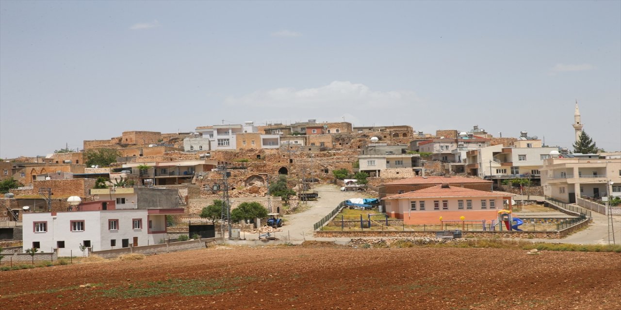 Mehmet Şimşek'in Hazine ve Maliye Bakanlığına getirilmesi doğduğu köyde sevinçle karşılandı