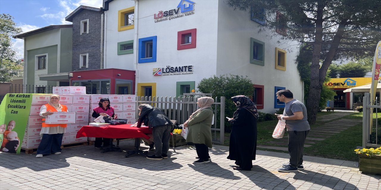 LÖSEV ihtiyaç sahibi 250 aileye et yardımı yaptı.
