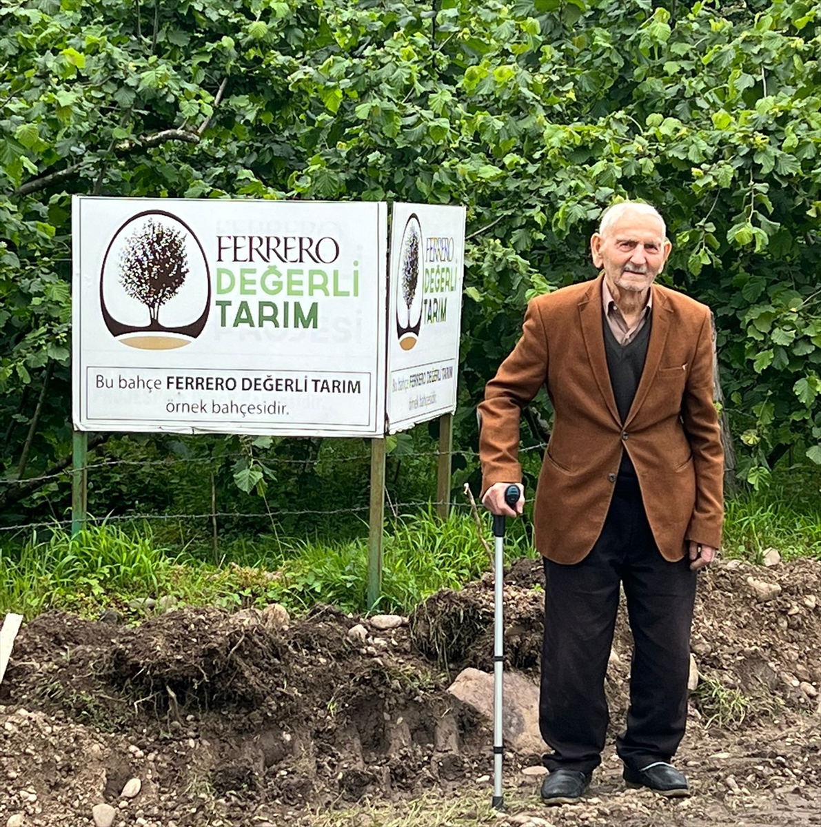 Giresun'da fındıkta iyi tarım uygulamaları yaygınlaşıyor