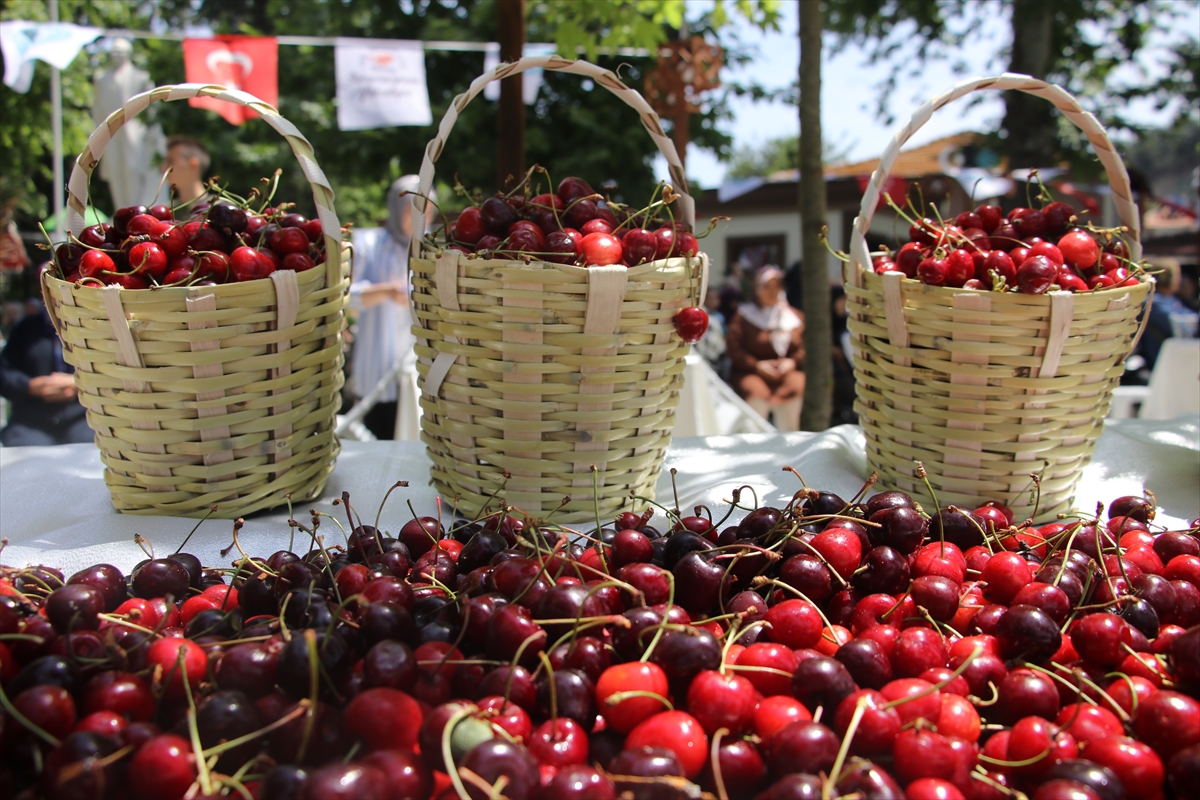"57. Uluslararası Tekirdağ Kiraz Festivali" başladı
