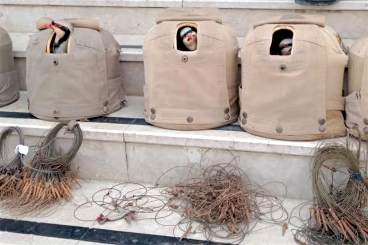 Elazığ'da 600 kınalı keklik doğaya bırakıldı