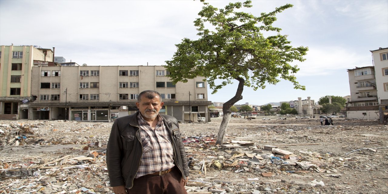Depremde yıkılan çay ocağından geriye kalan kayısı ağacı.