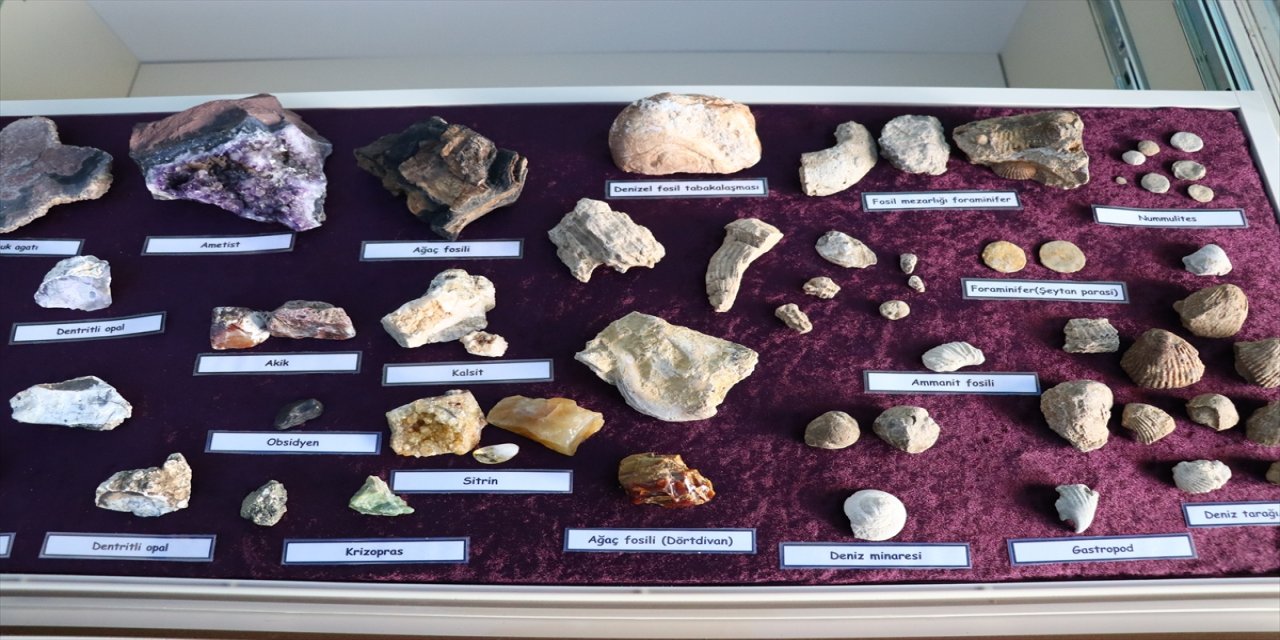 Bolu'da açılan müzeyle çocuklara doğa bilinci aşılanıyor.