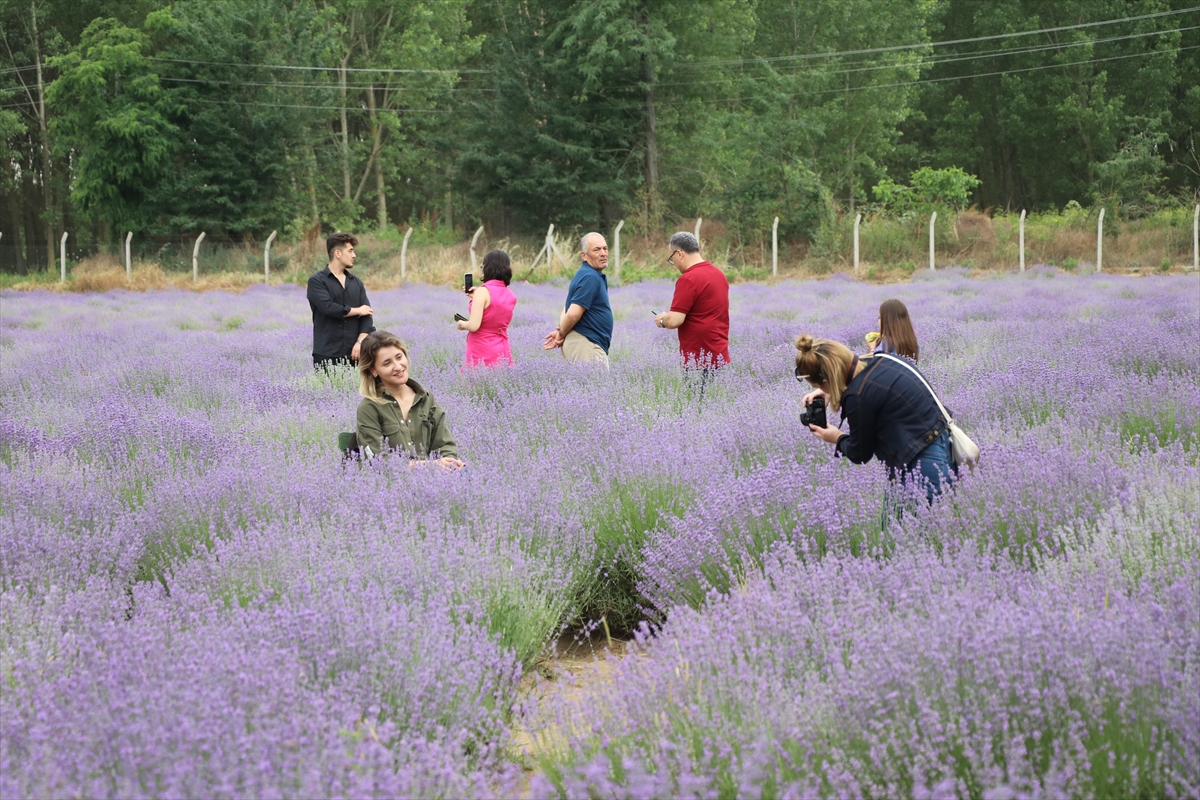 Edirne'de lavanta tarlasında ritim konseri