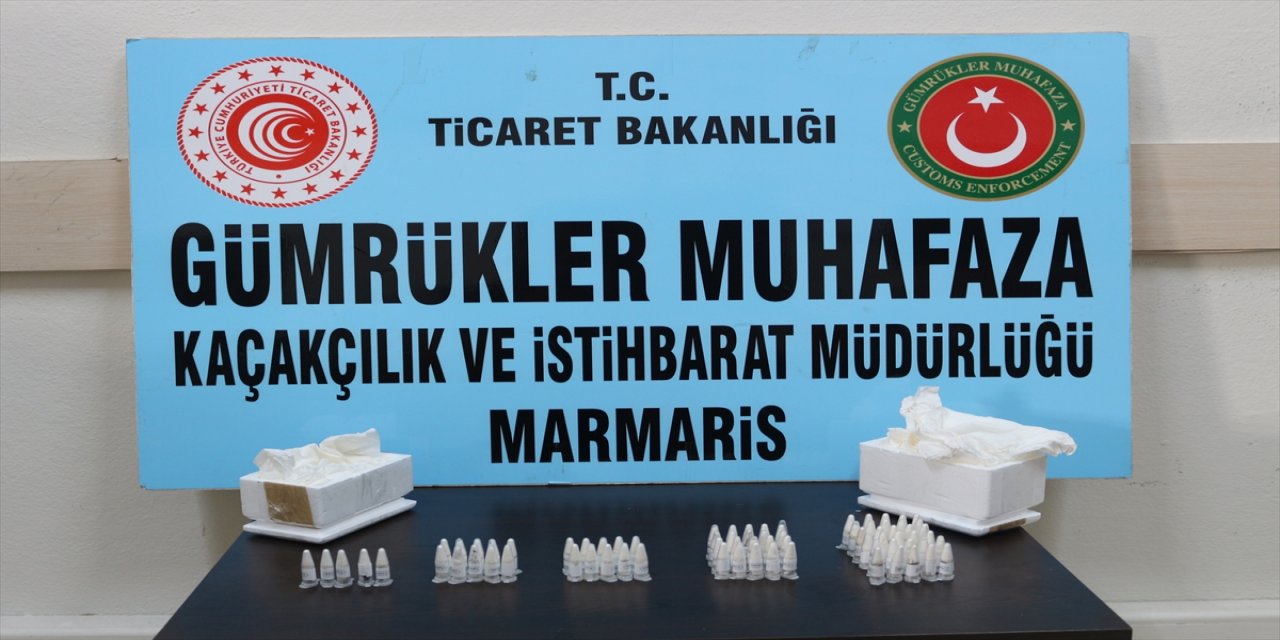 Posta kargosunda 76 tarantula yakalandı.