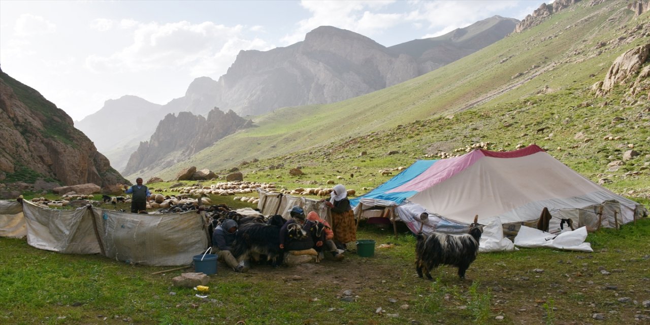 Göçerler yazı geçirmek için Hakkari'deki serin yaylaları tercih ediyor.