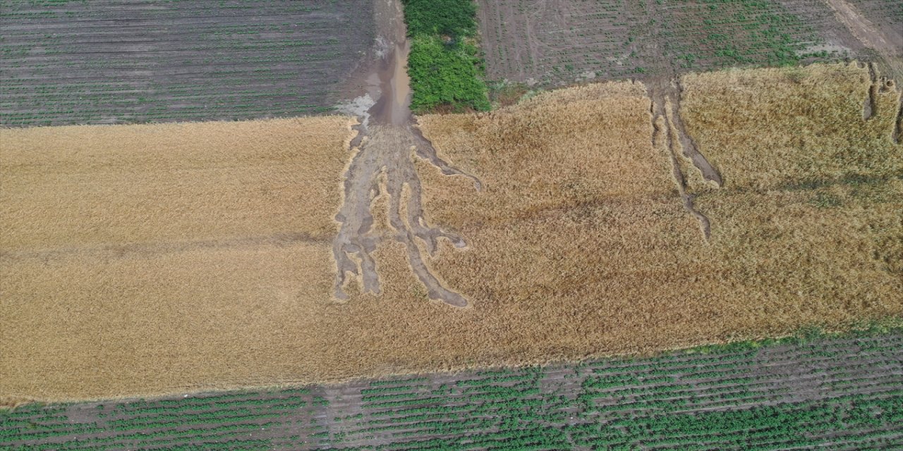 Edirne'de dolu yağışı ekili tarım arazilerine zarar verdi.