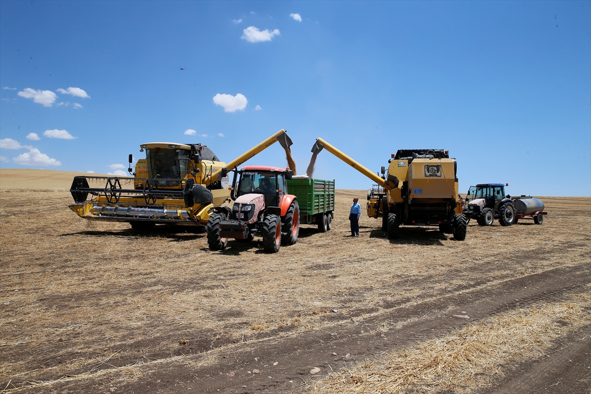 Diyarbakır'da 9 kişinin ölümüne neden olan tarlada hasat
