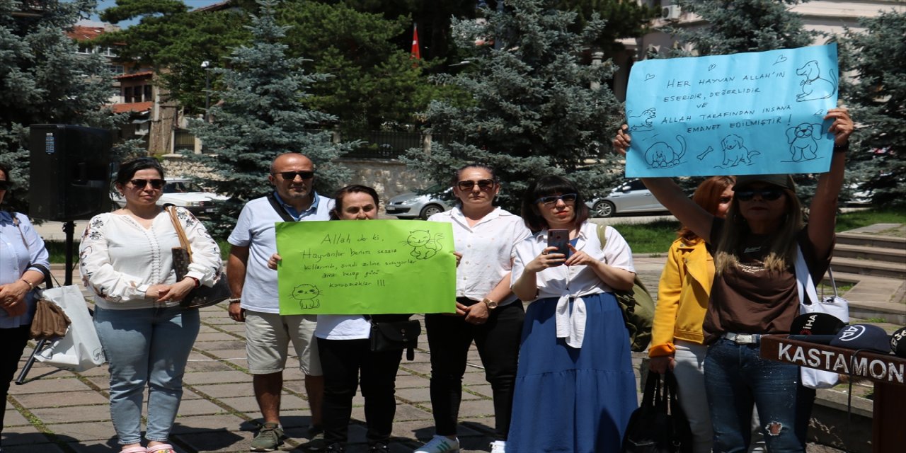 Kastamonu'da bir kedinin öldürülmesi hayvanseverler tarafından protesto edildi.