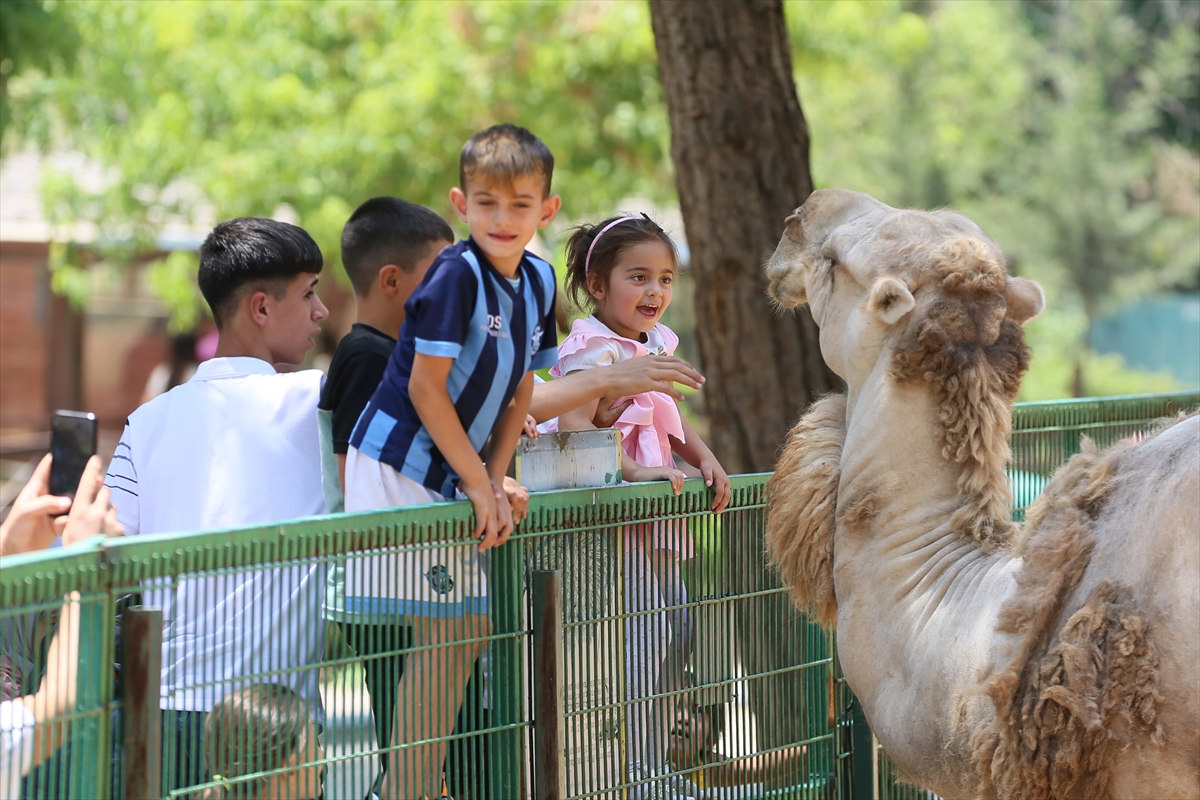 Gaziantep Doğal Yaşam Parkı 62 bin ziyaretçiyi ağırladı