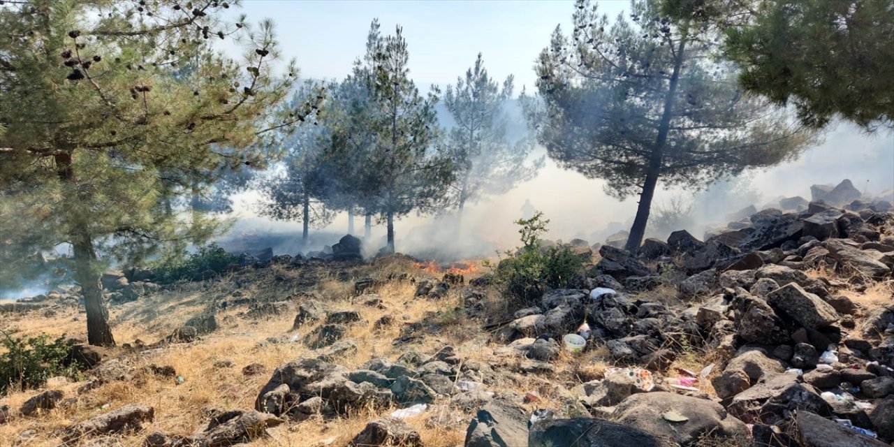 Kilis'te mesire alanında çıkan yangın söndürüldü