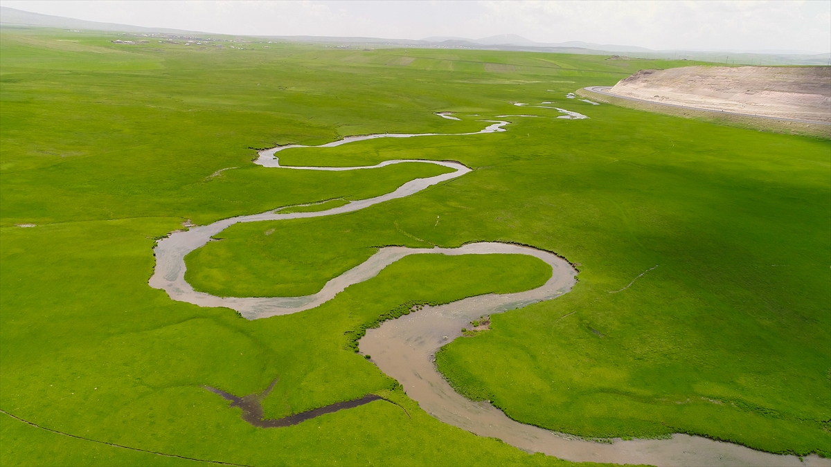 Ardahan'da menderesleri