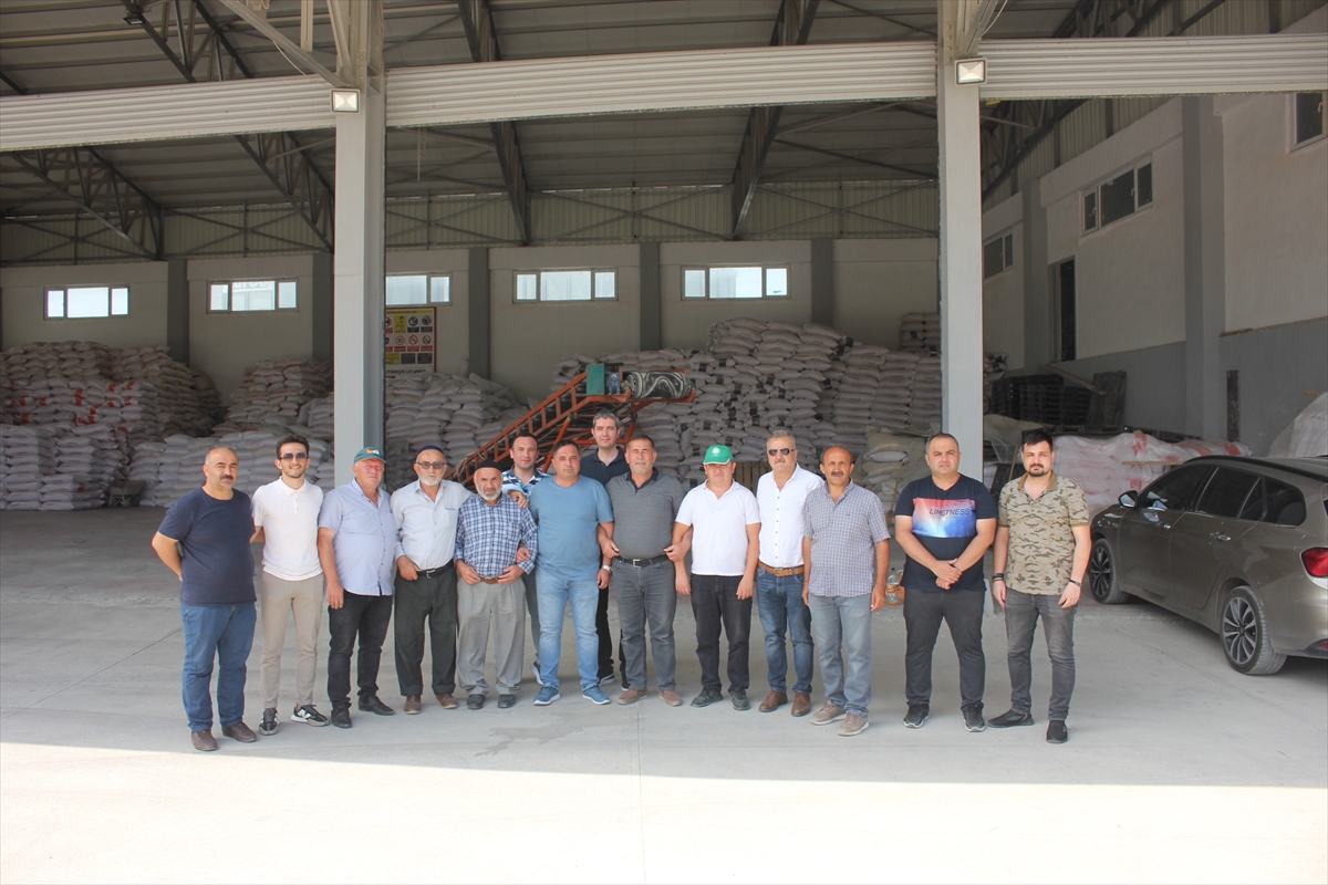 TMO, Amasya'nın Suluova ilçesinde hububat alımına başladı