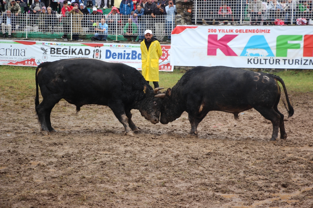 Artvin'de "42. Kafkasör Kültür, Turizm ve Sanat Festivali" sürdü