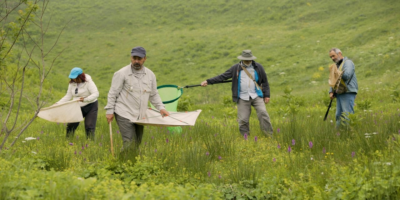 Erzurum'a gelen uluslararası bilim insanları biyoçeşitlilik araştırmalarına katıldı.