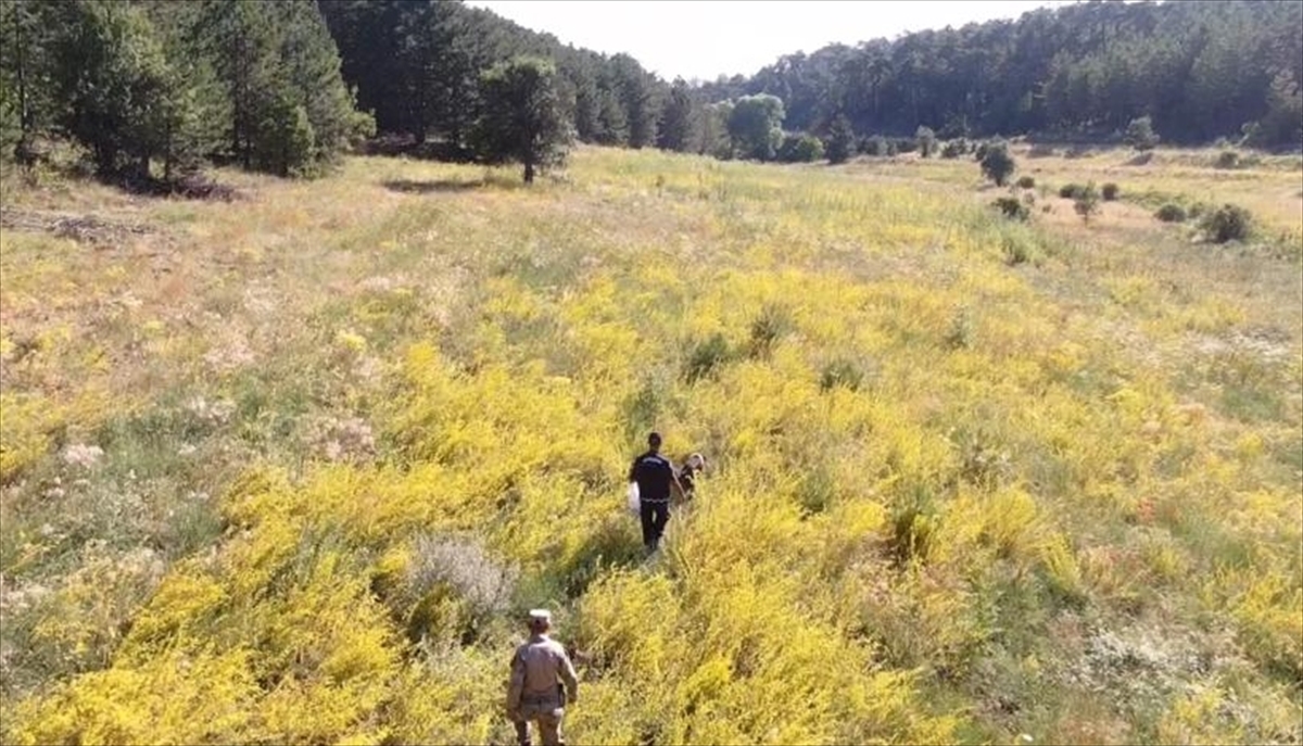 Eskişehir'de kaybolan iki kişi aranıyor