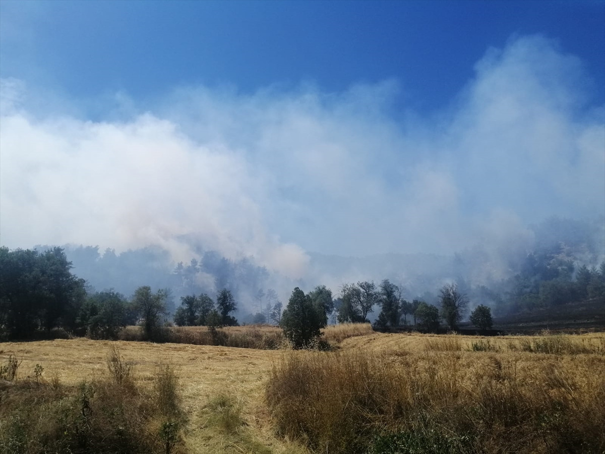 Bolu'da çıkan orman yangını kontrol altına alındı