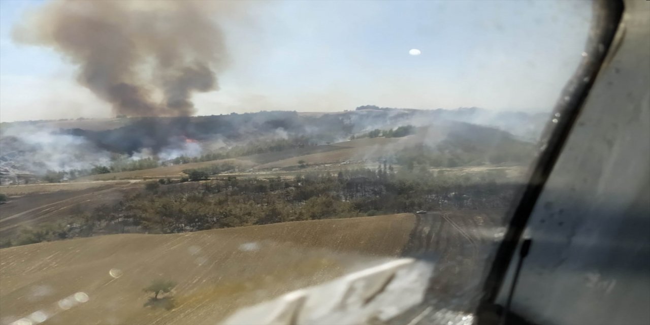 Adana'da orman yangını çıktı