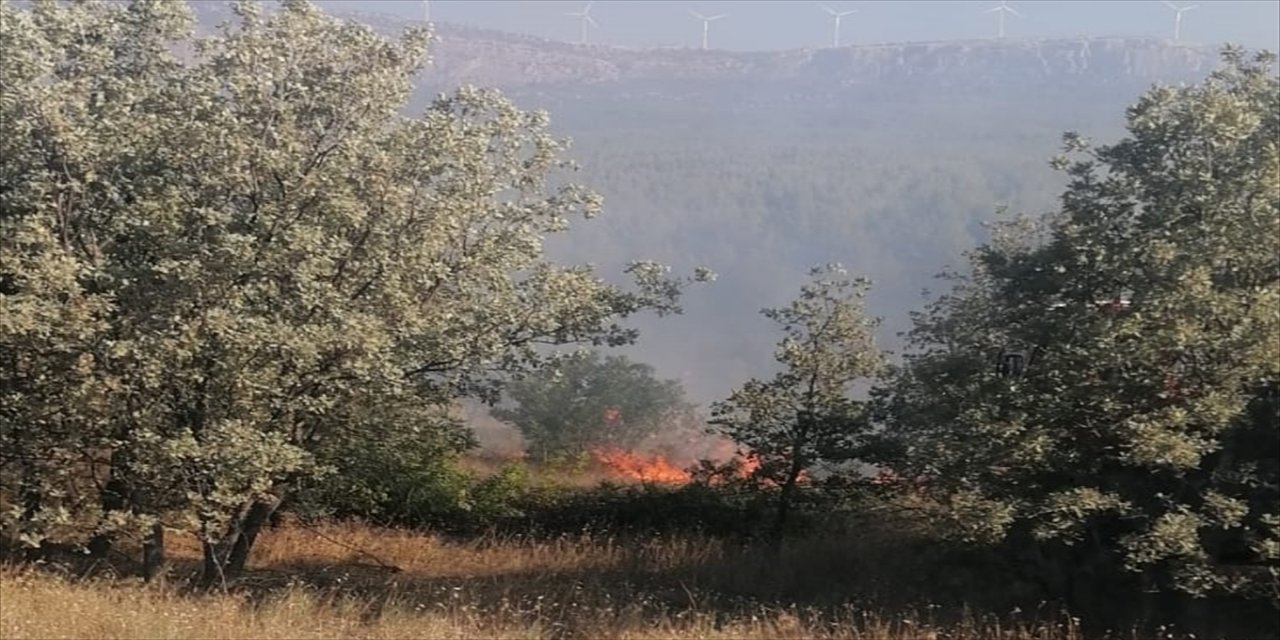 Mersin'de bahçede çıkan yangın ormana sıçramadan söndürüldü