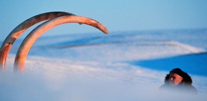 Ruslar Süper Bakteri Keşfettiler