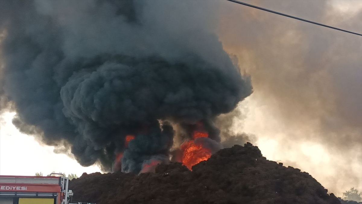 Kocaeli'de geri dönüşüm fabrikasında çıkan yangına müdahale ediliyor