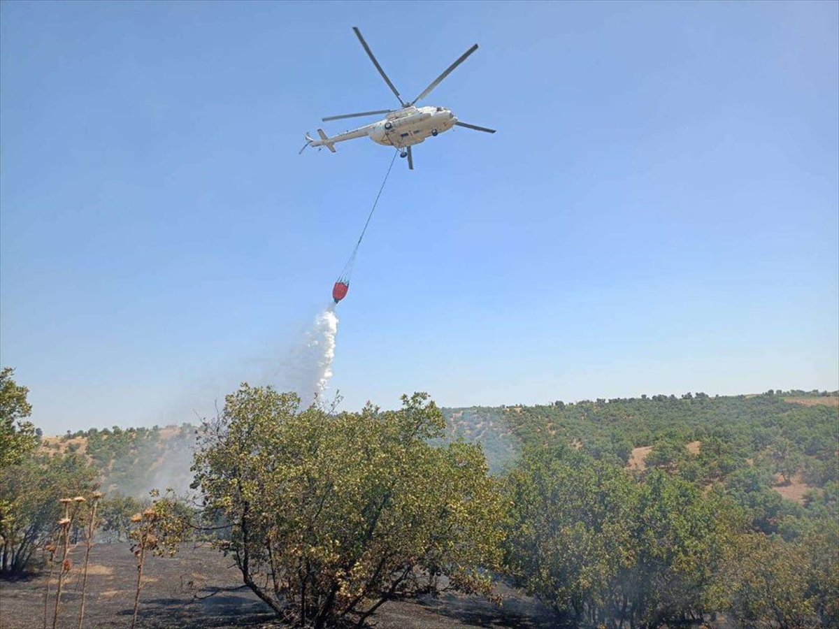 Uşak'ta meşelik alandaki yangın söndürüldü