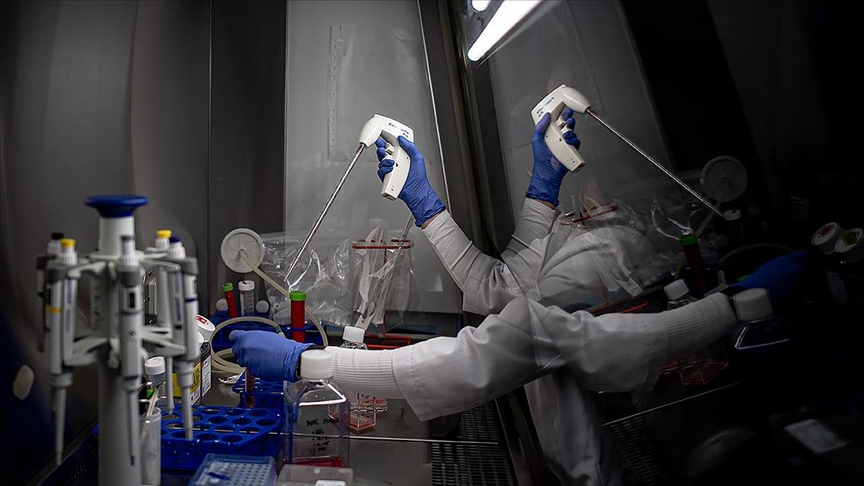 Türk bilim insanından kilo ve kas kaybına çözüm