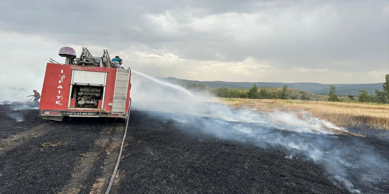 Bilecik'te yıldırım yangın başlattı.
