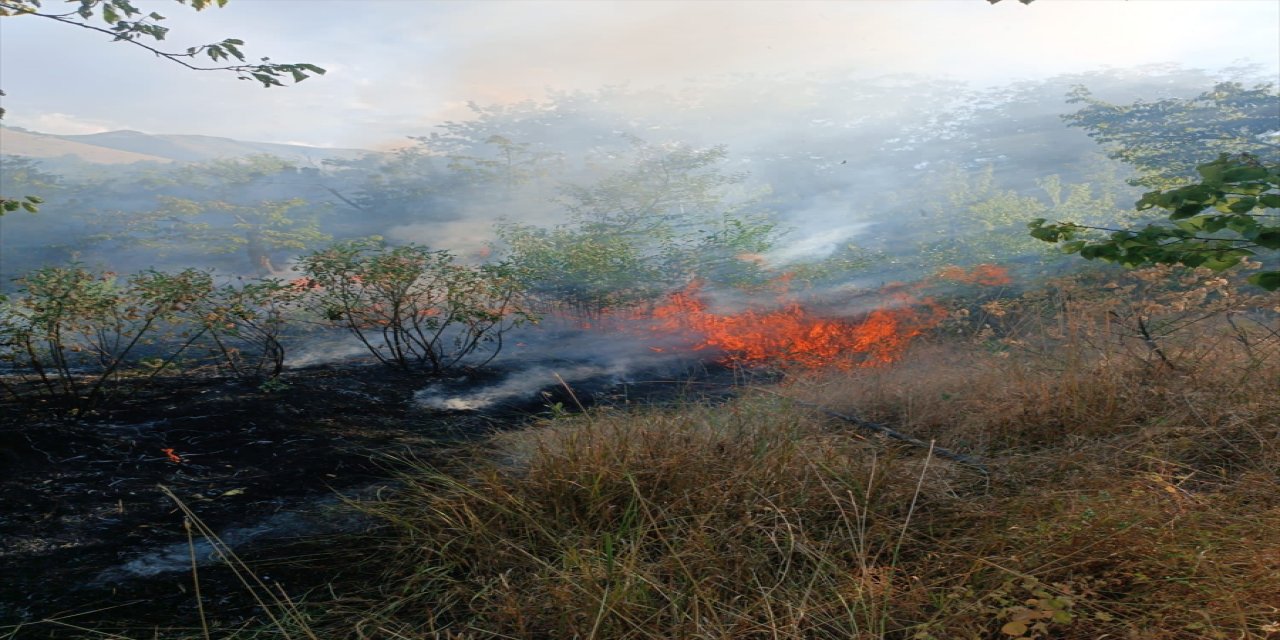 Kayseri'de bahçede çıkan yangın söndürüldü