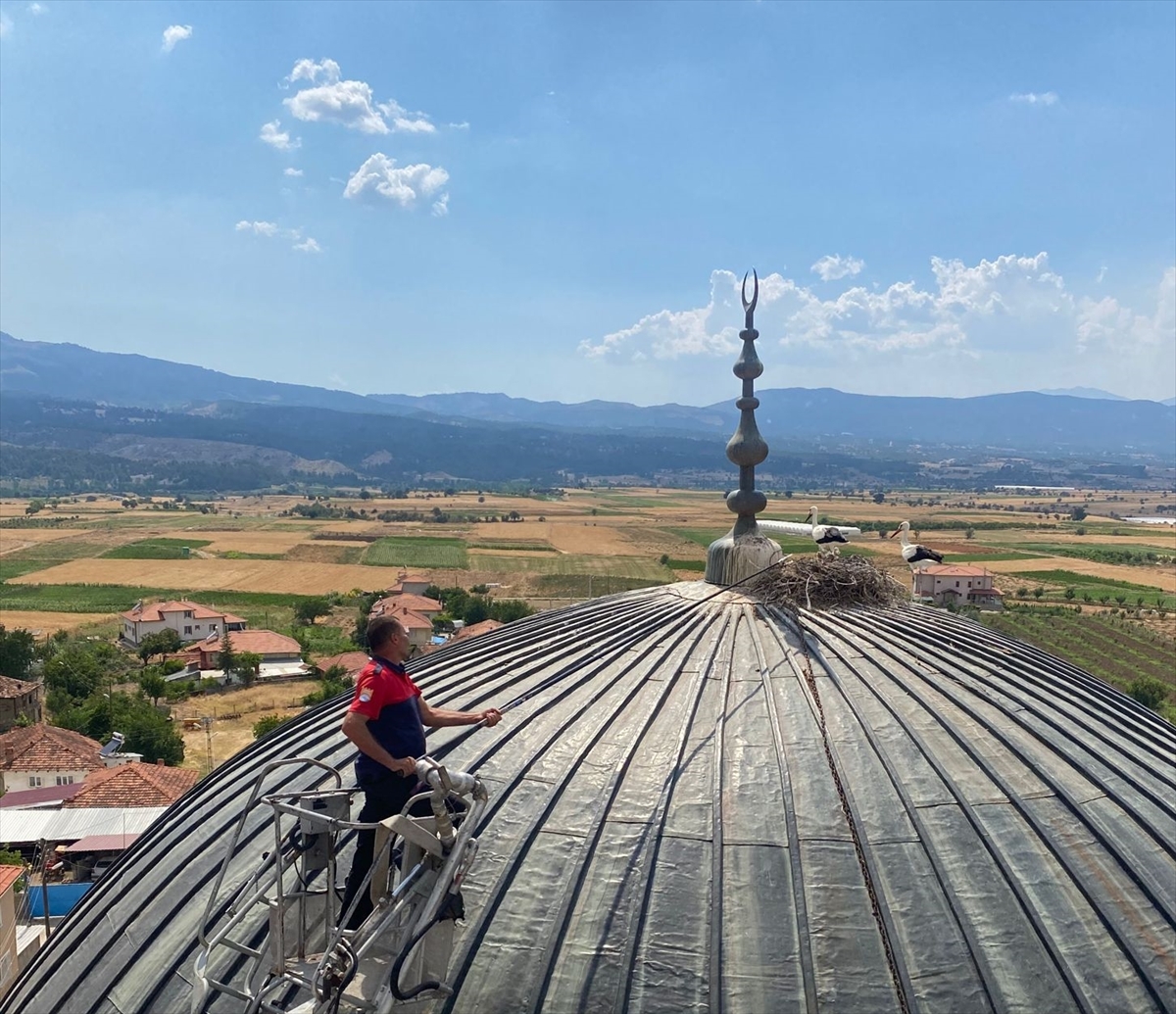 İtfaiye imdada yetişti. Burdur'da caminin kubbesinde mahsur kalan leyleği kurtardı