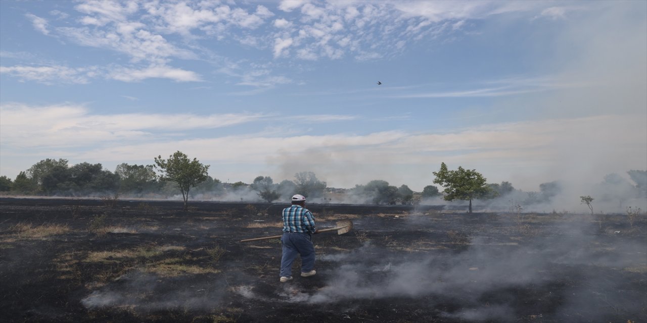 Edirne'de otluk alev aldı.