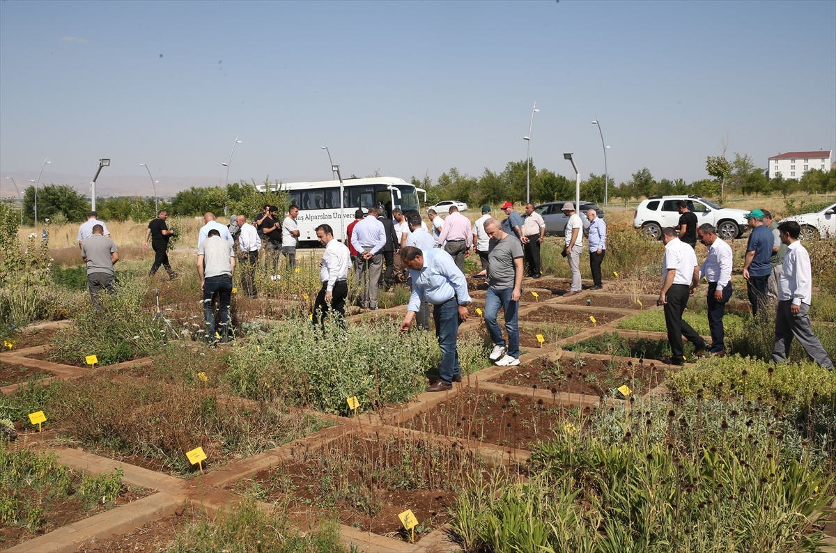 Muş'ta yetiştirilen tıbbi ve aromatik bitkiler tanıtıldı