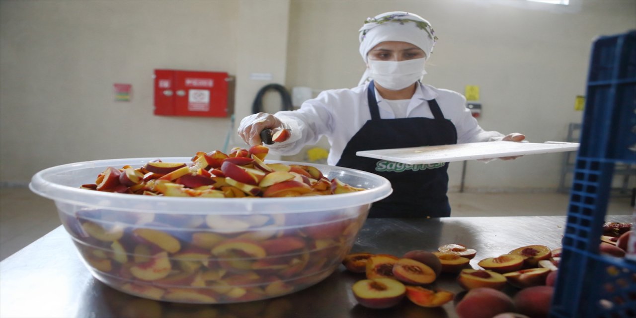 Güç birliği yapan 74 kişinin kurduğu kooperatif 5 ülkeye ihracat yapıyor