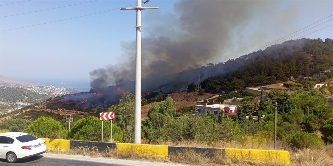 Bodrum'da makilik alanda çıkan yangın söndürüldü