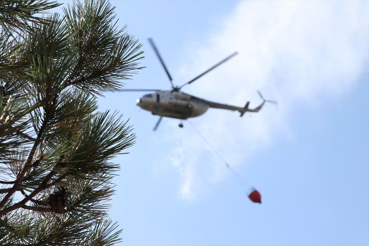 Bolu'da çıkan orman yangınları kontrol altına alındı