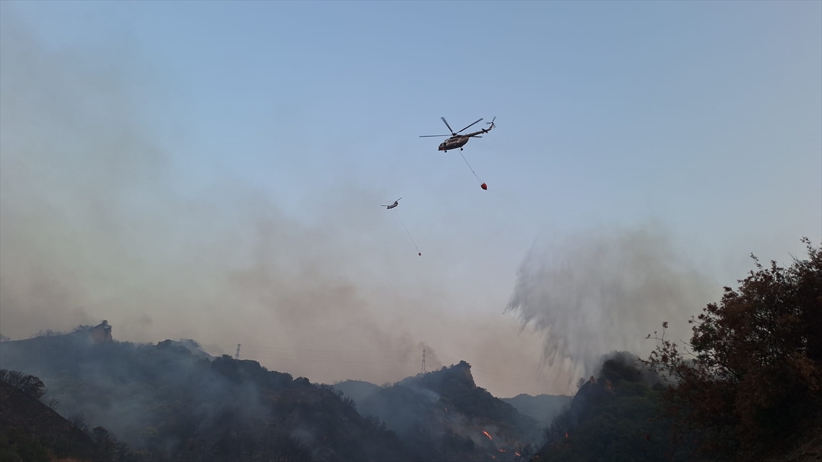 Manisa'da makilik alandaki yangına müdahale ediliyor