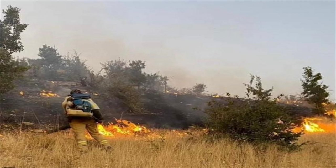 Şırnak’ta ormanlık alanda çıkan yangın söndürüldü