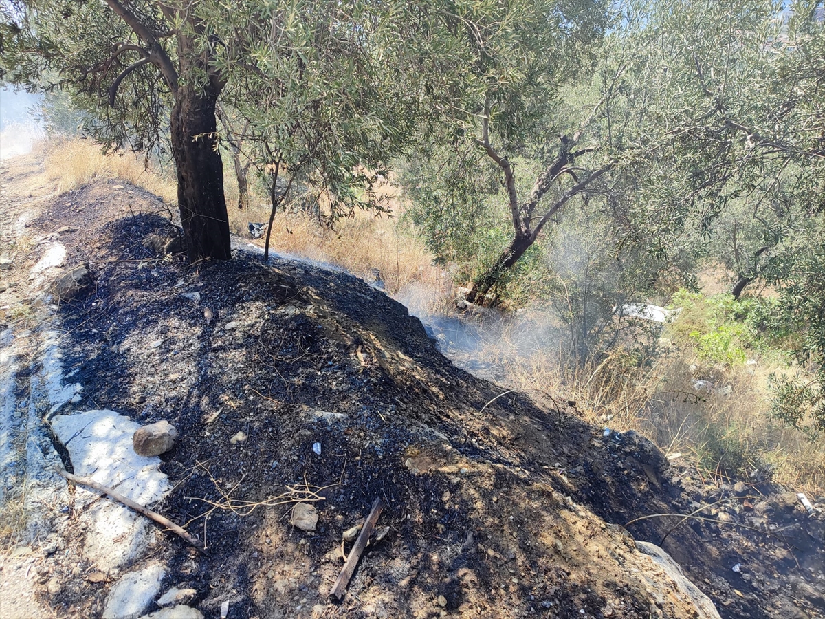 Kazdağları'nda ormanlık alandaki yangın söndürüldü